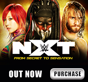 WWE NXT: From Secret to Sensation