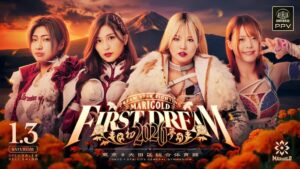 WWE Elimination Chamber 2026 @ United Center